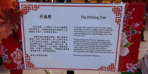 wishing tree 3
